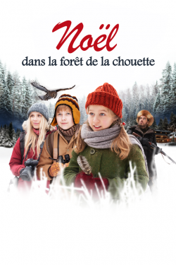 Noël dans la forêt de la chouette - FRENCH HDRip