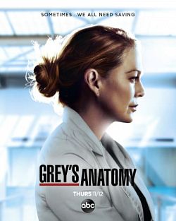 Grey's Anatomy - Saison 19 VOSTFR