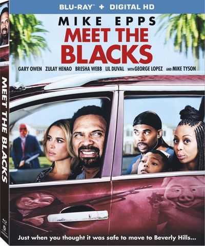 Meet The Blacks Blu-Ray 720p French