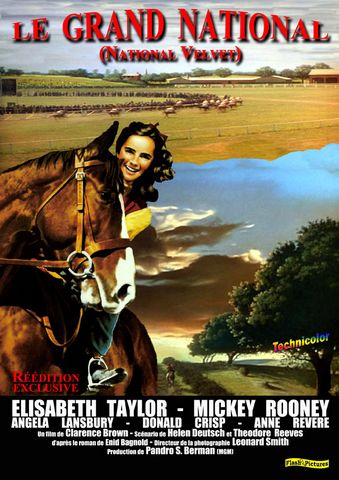 Le Grand national DVDRIP TrueFrench