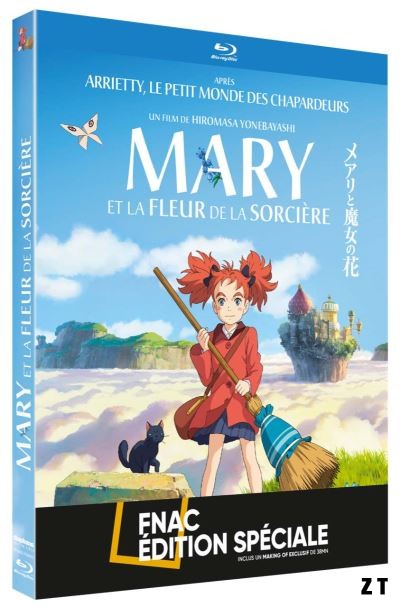 Mary et la fleur de la sorcière Blu-Ray 1080p MULTI