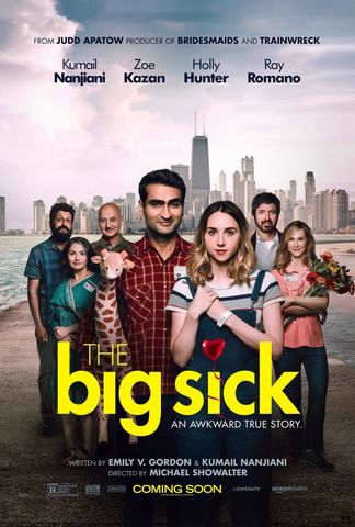 The Big Sick WEB-DL 1080p French