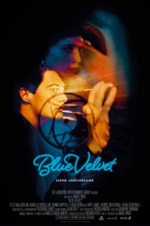 Blue Velvet DVDRIP French