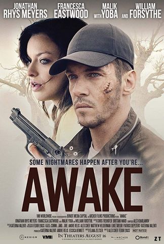 Awake WEB-DL 720p French