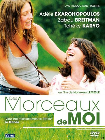 Des Morceaux de Moi DVDRIP French