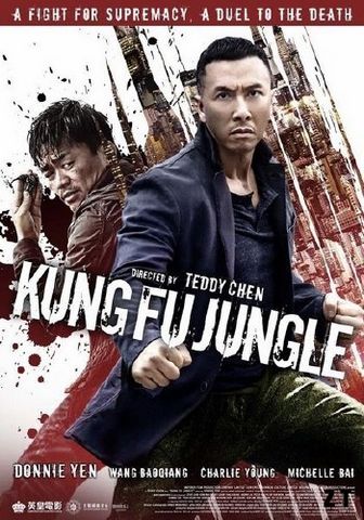 Kung Fu Jungle BDRIP French