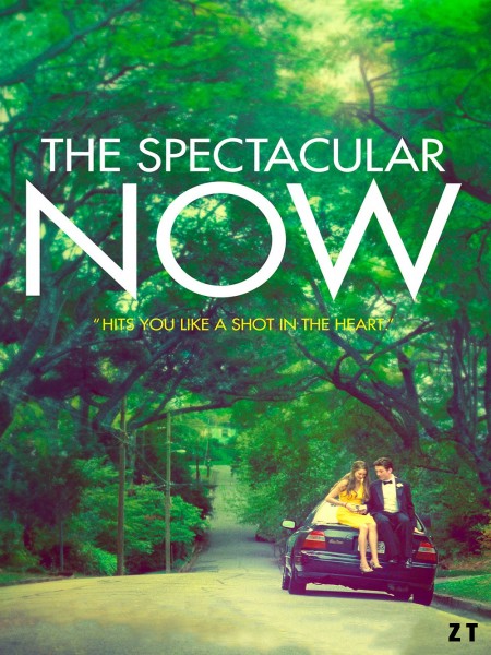 The Spectacular Now HDLight 1080p VOSTFR
