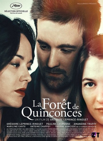 La Forêt de Quinconces HDRip French