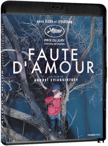 Faute d'amour Blu-Ray 720p French