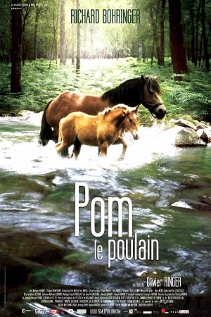 Pom le poulain DVDRIP French