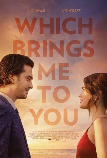 Which Brings Me to You - FRENCH HDRIP