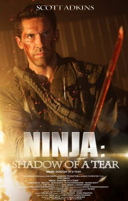 Ninja 2 : Shadow of a Tear BRRIP TrueFrench