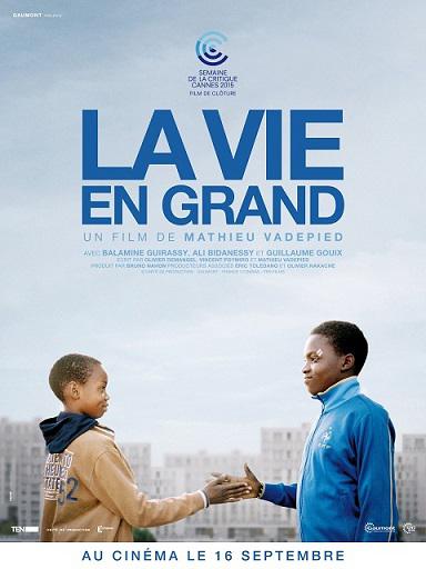 La Vie en grand DVDRIP French