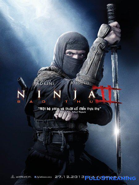 Ninja 2 : Shadow Of A Tear BRRIP French