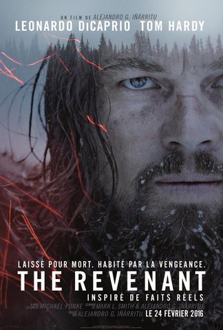 The Revenant DVDRIP French
