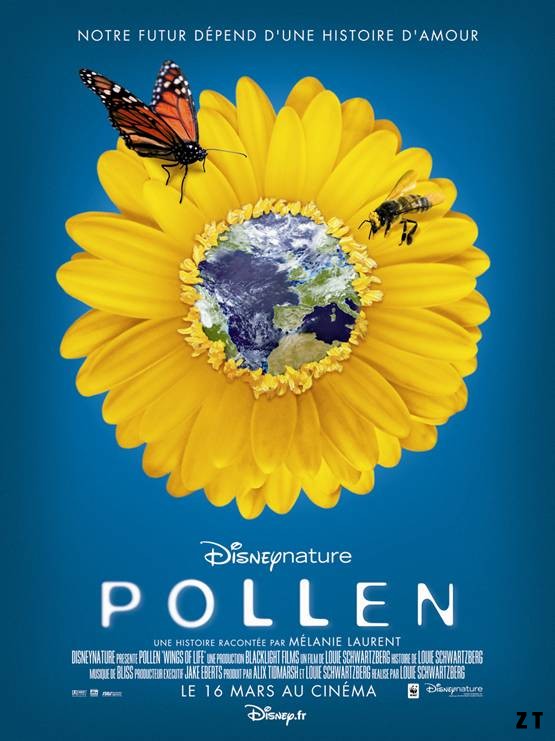 Pollen DVDRIP French