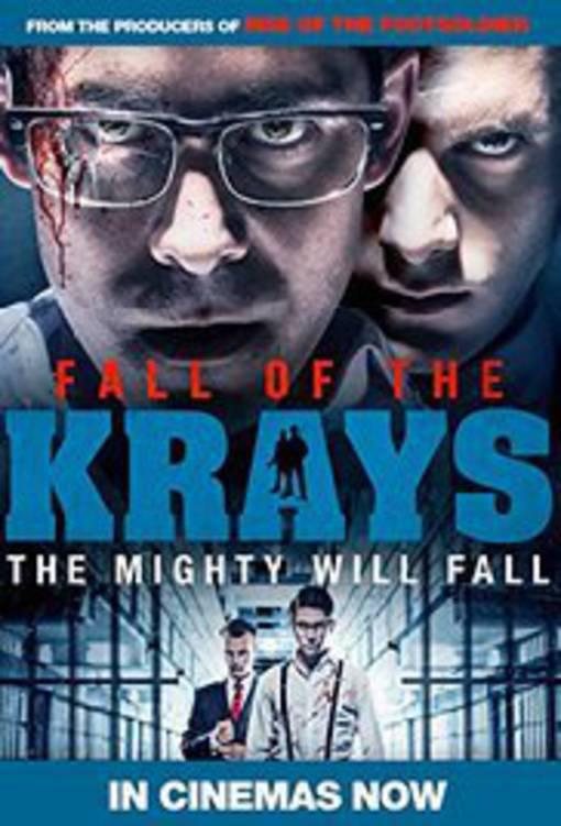 The Fall Of The Krays BDRIP French