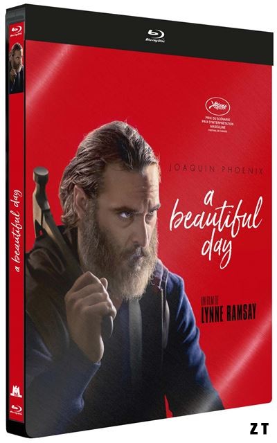 A Beautiful Day Blu-Ray 720p French