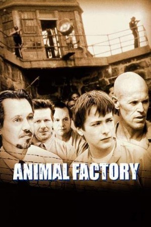 Animal Factory DVDRIP French