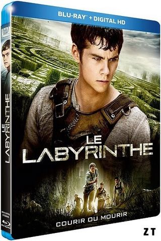 Le Labyrinthe Blu-Ray 720p French