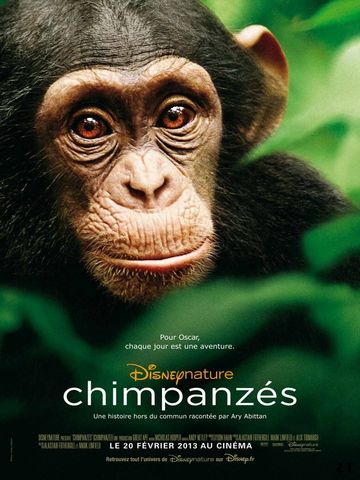 Chimpanzés HDLight 1080p MULTI