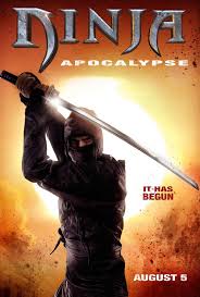 Ninja Apocalypse BRRIP VOSTFR