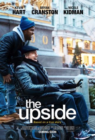 The Upside DVDRIP MKV French